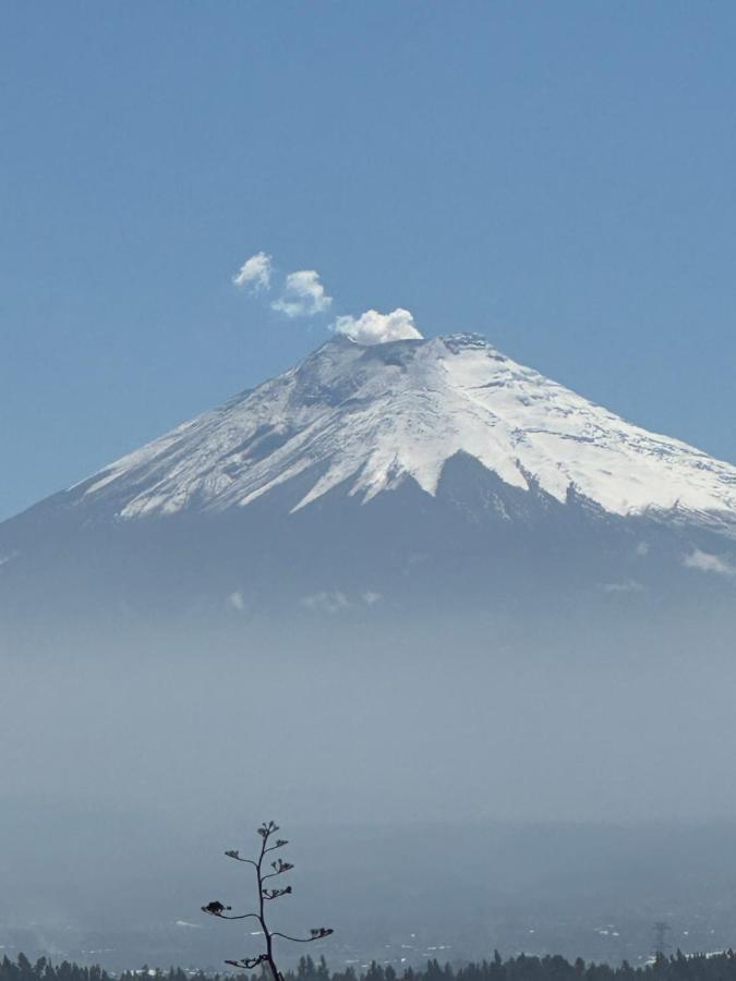 Campus Residencias Bed and Breakfast Quito Esterno foto